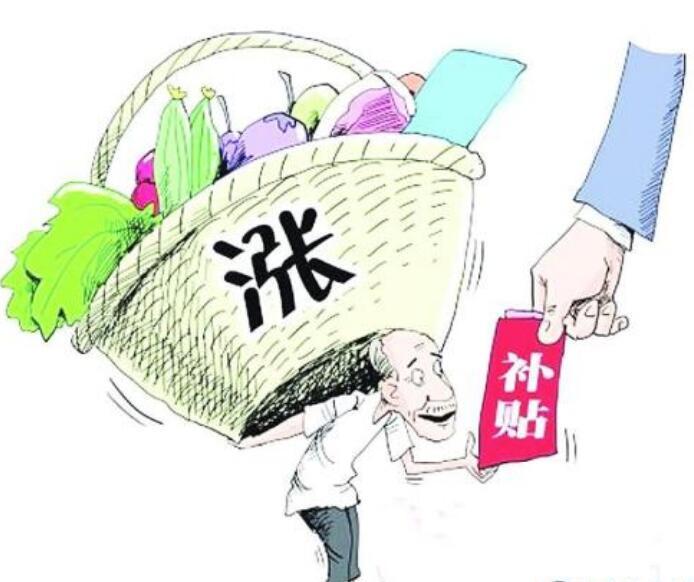 2017年达州低保政策，温暖守护新篇章