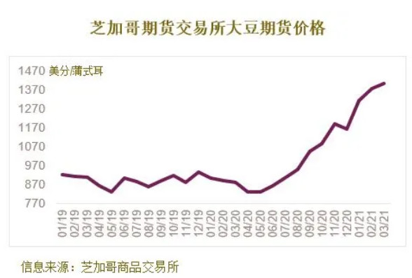 今日大豆行情：最新市场价格动态揭晓